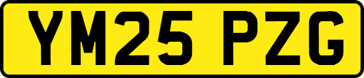 YM25PZG