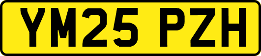 YM25PZH