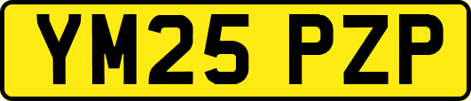 YM25PZP