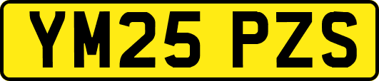 YM25PZS