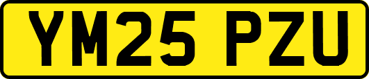 YM25PZU