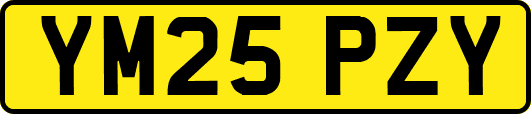YM25PZY