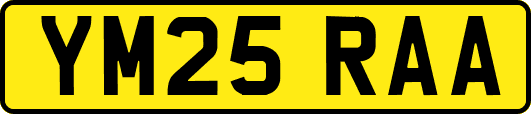 YM25RAA