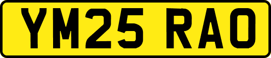 YM25RAO