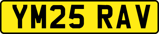YM25RAV