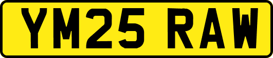 YM25RAW