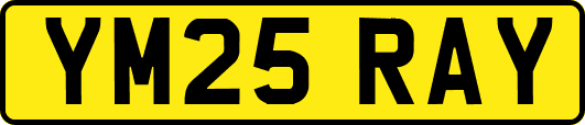 YM25RAY
