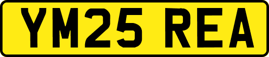 YM25REA