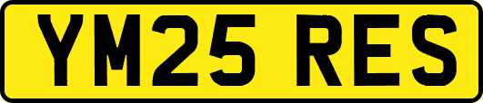 YM25RES