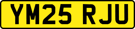 YM25RJU