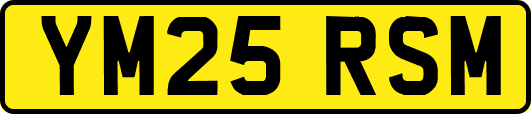 YM25RSM