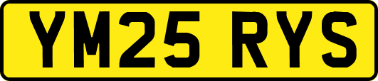 YM25RYS