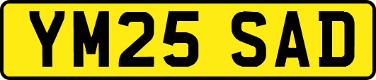 YM25SAD