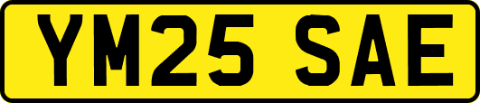 YM25SAE
