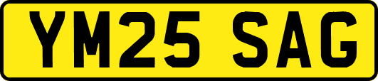 YM25SAG
