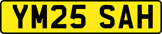 YM25SAH