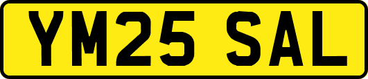 YM25SAL