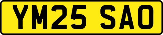 YM25SAO