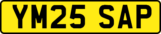 YM25SAP