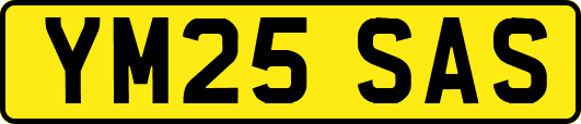 YM25SAS
