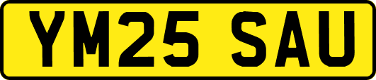 YM25SAU