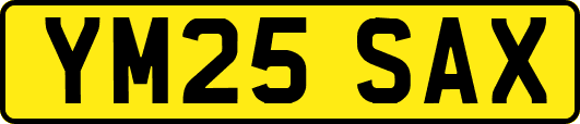 YM25SAX