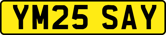 YM25SAY