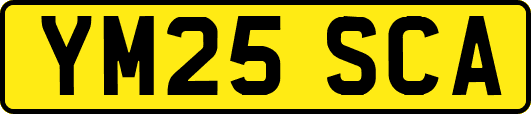 YM25SCA