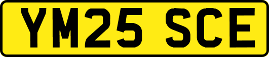 YM25SCE