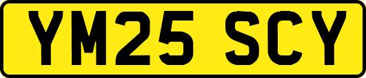 YM25SCY