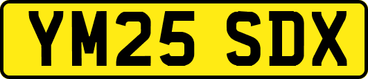 YM25SDX