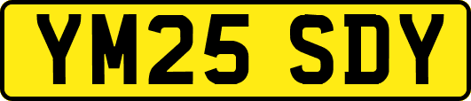 YM25SDY
