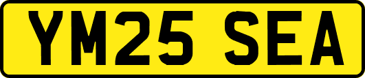 YM25SEA