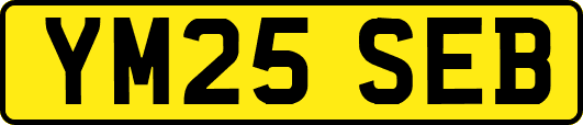 YM25SEB