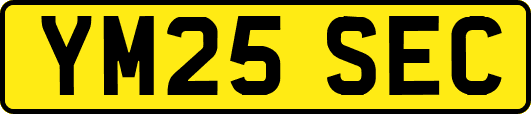 YM25SEC