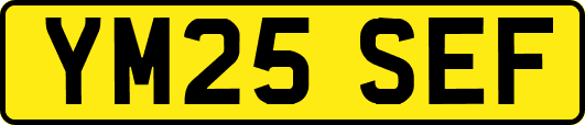 YM25SEF