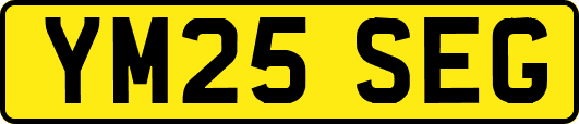YM25SEG