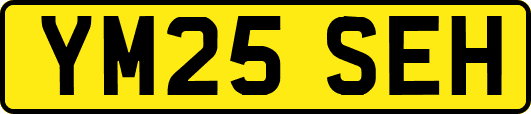 YM25SEH