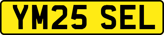 YM25SEL