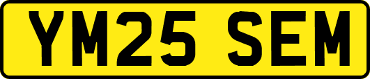 YM25SEM