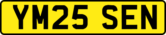 YM25SEN