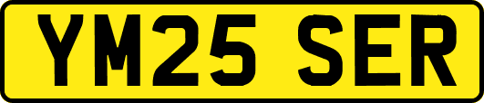 YM25SER