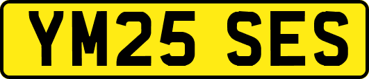 YM25SES