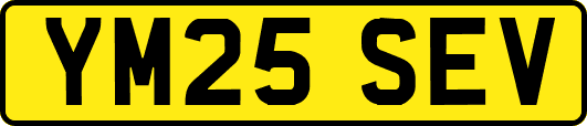 YM25SEV
