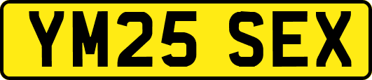 YM25SEX