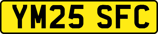 YM25SFC