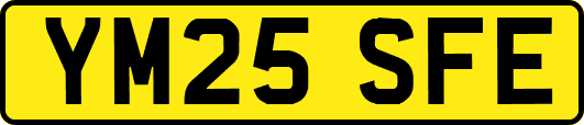 YM25SFE