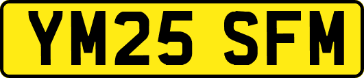 YM25SFM