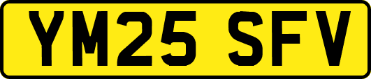 YM25SFV