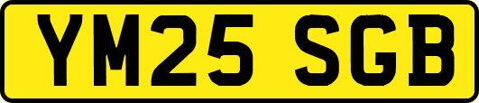 YM25SGB